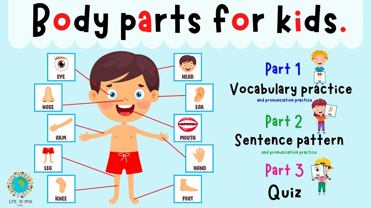 Body Parts For Kids Learn Parts Of The Body Body Part Quiz ESL